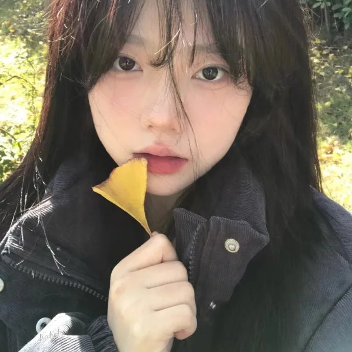 魇会